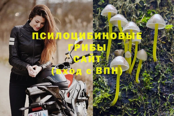 таблы Алексеевка