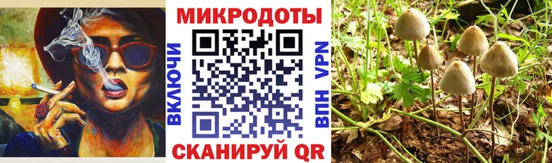 Псилоцибиновые грибы ЛСД omg зеркало Зверево закладки